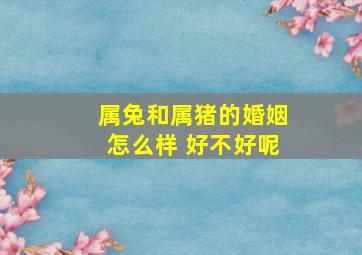 属兔和属猪的婚姻怎么样 好不好呢